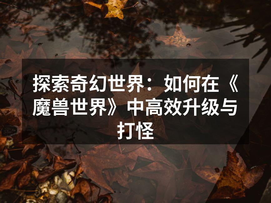 探索奇幻世界：如何在《魔兽世界》中高效升